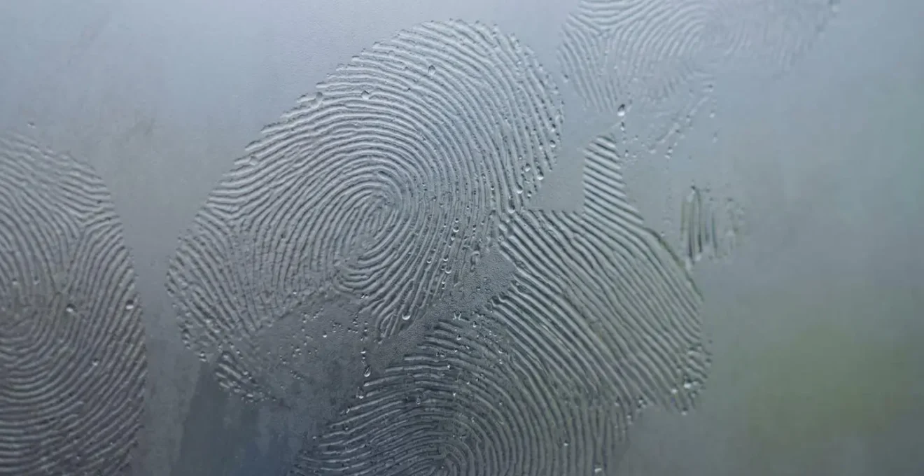 Macro view of human touch patterns on glass surface showing unique behavioral signatures